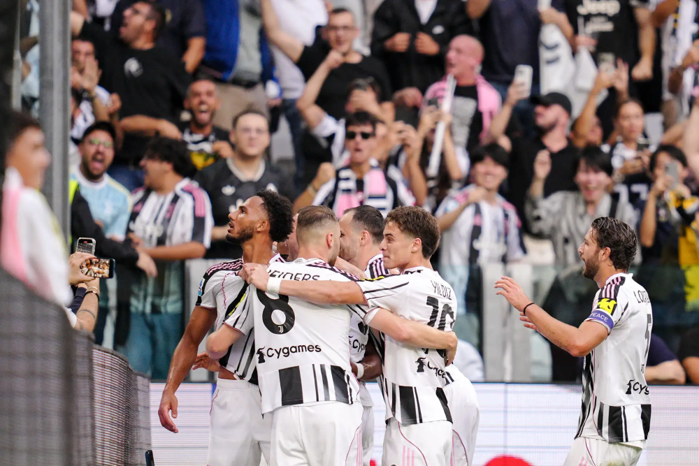 织起进攻 织起进攻