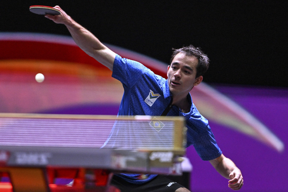 在今年美国 在今年美国